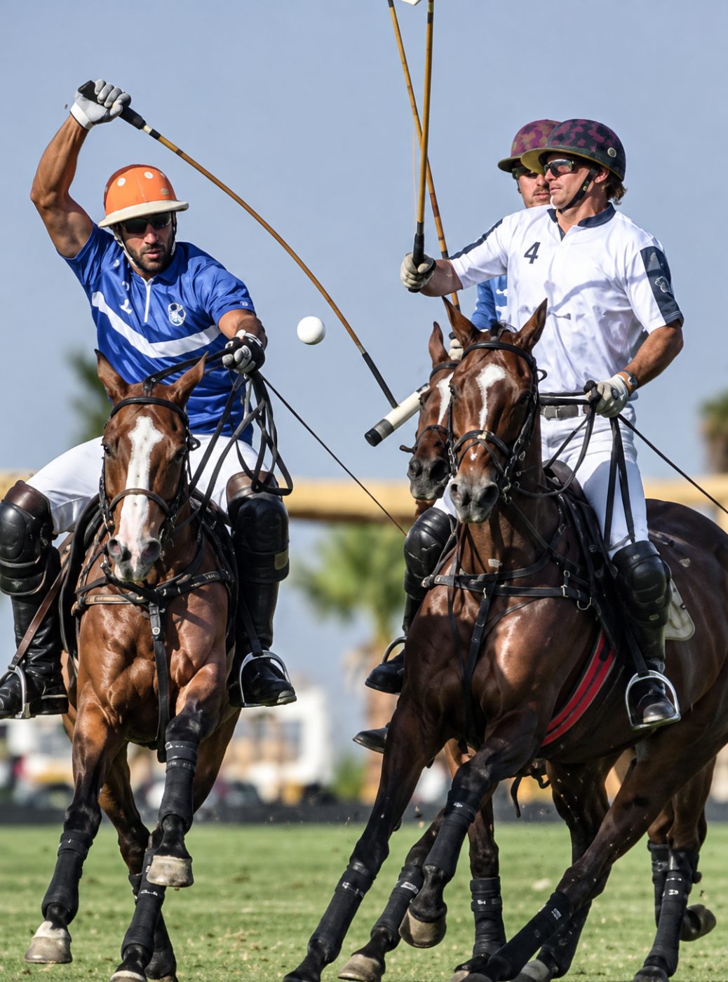 Pyramide Polocrosse